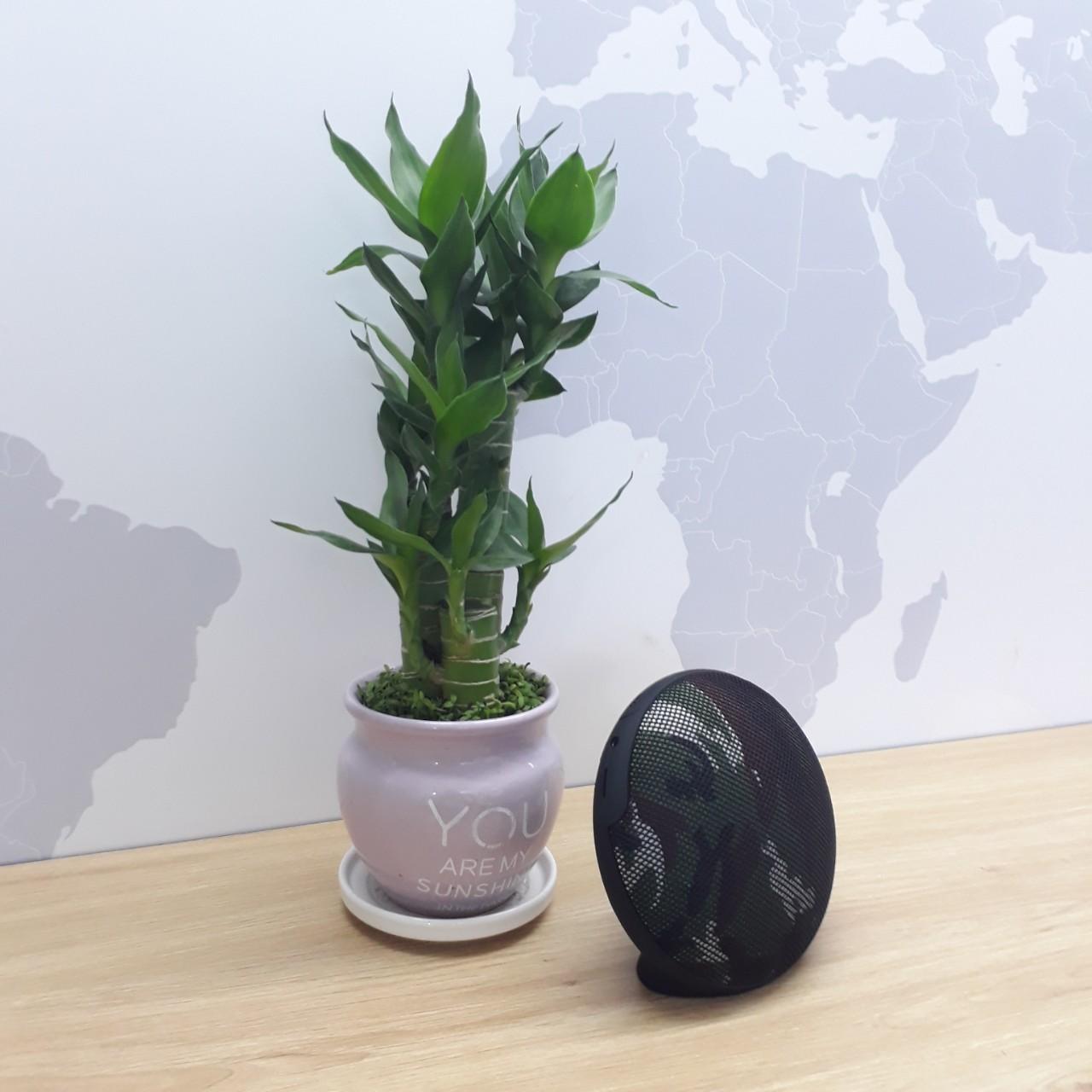 Loa Bluetooth JC210