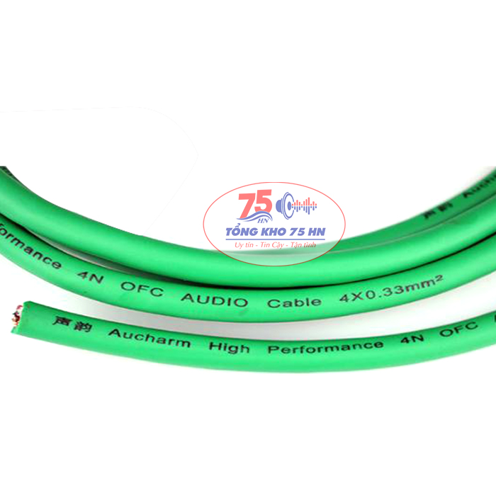 Cặp dây tín hiệu âm thanh Aucharm RCA cao cấp dài 1m
