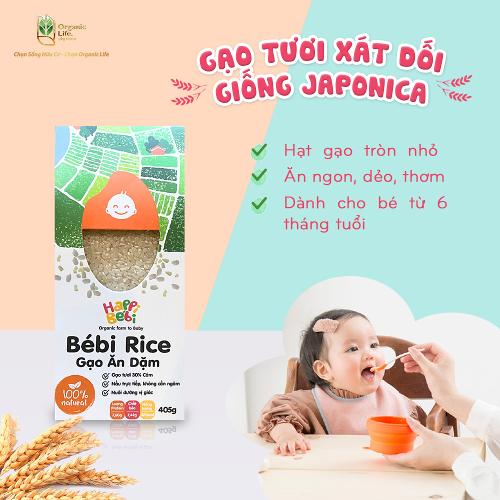 Các loại gạo ăn dặm hữu cơ cho bé happy bebi rice - gạo nhật japonica - gạo trắng st25 - gạo xát dối