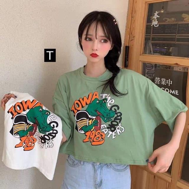 Áo croptop cá sấu xanh 1983 dtr0719