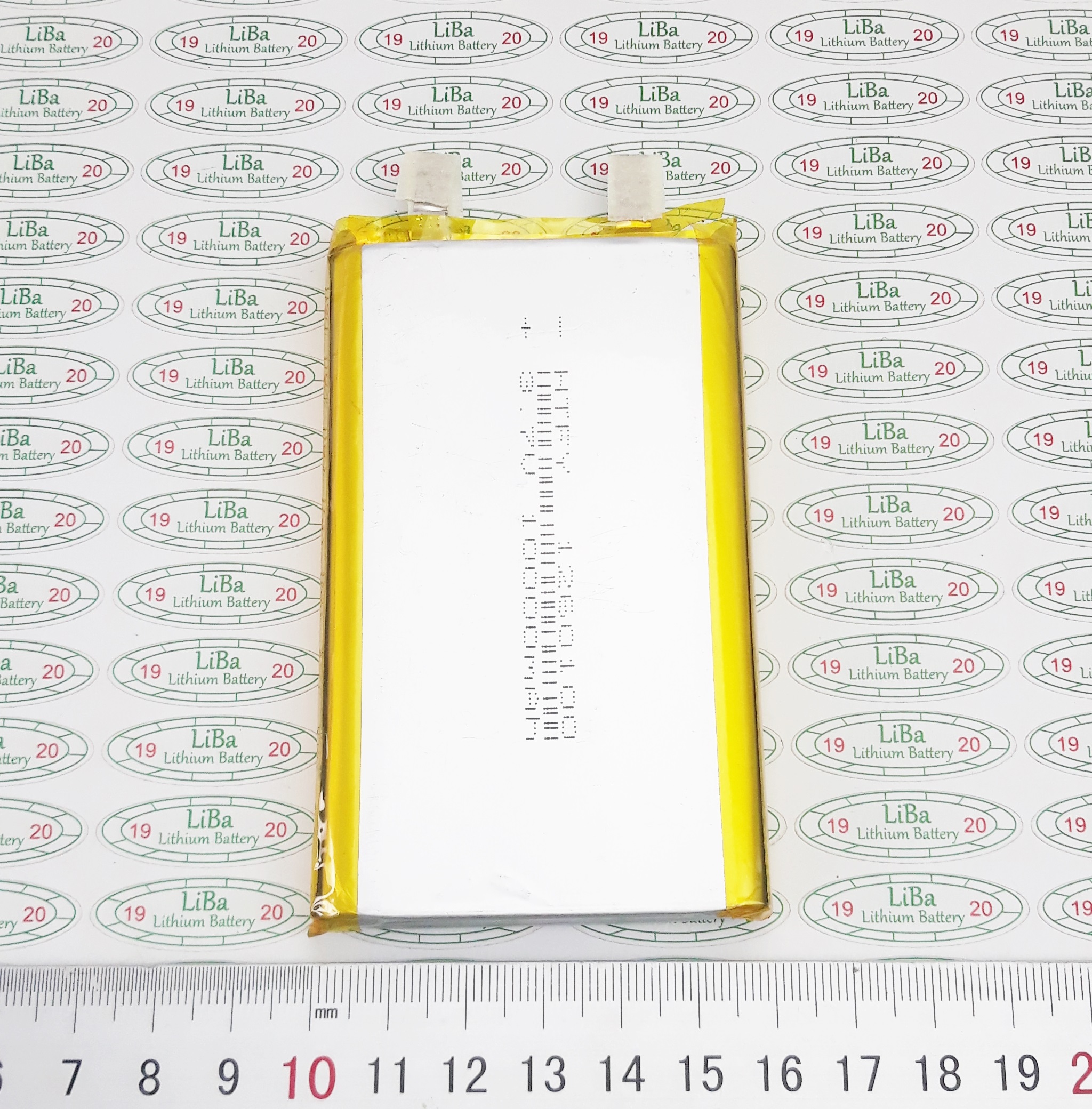 [HCM]Pin LiPo 3.7V 10000mAh kích thước 60 x 100 mm - LiBa