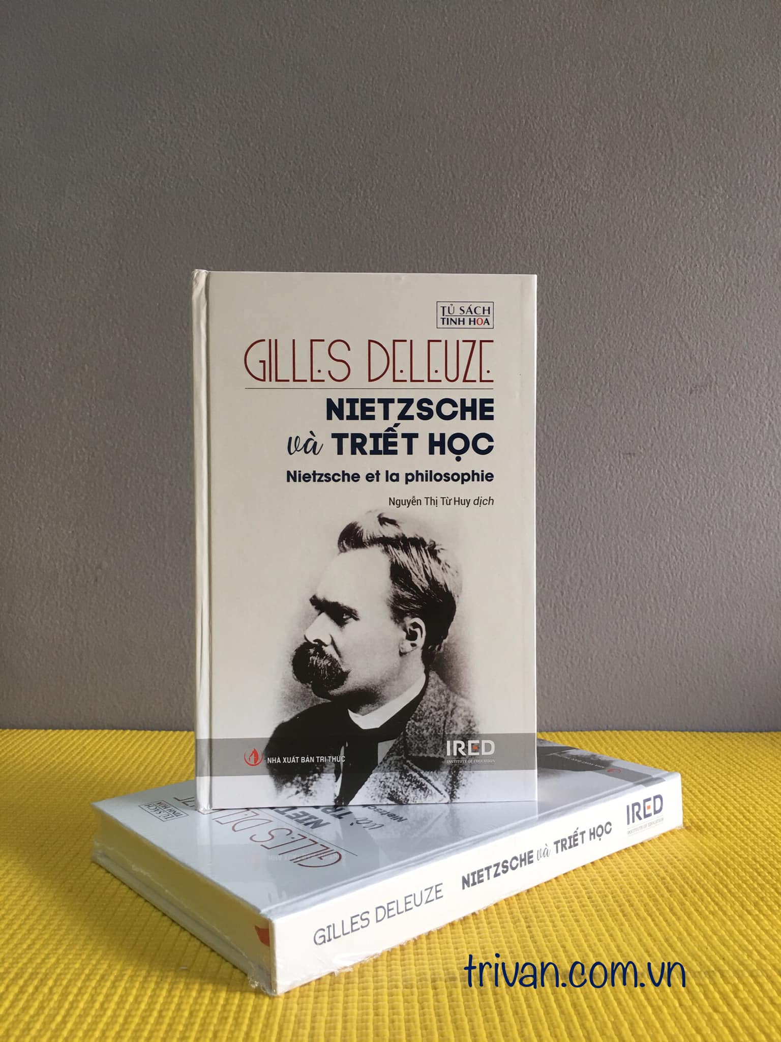 Nietzsche và Triết Học