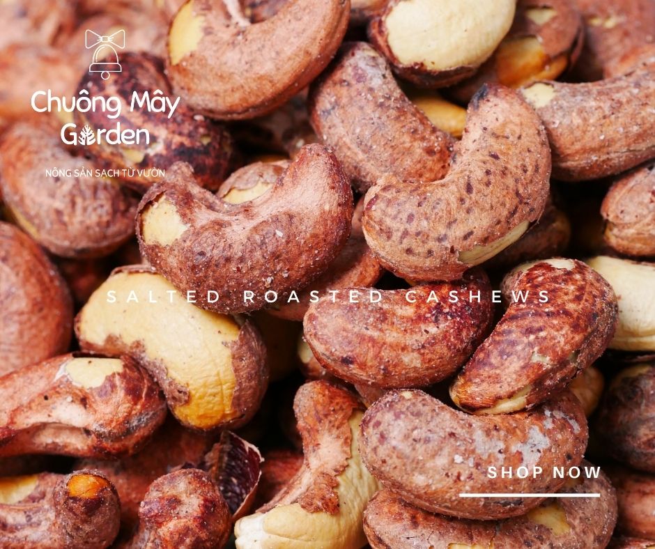Hạt điều rang muối Bình Phước 200G