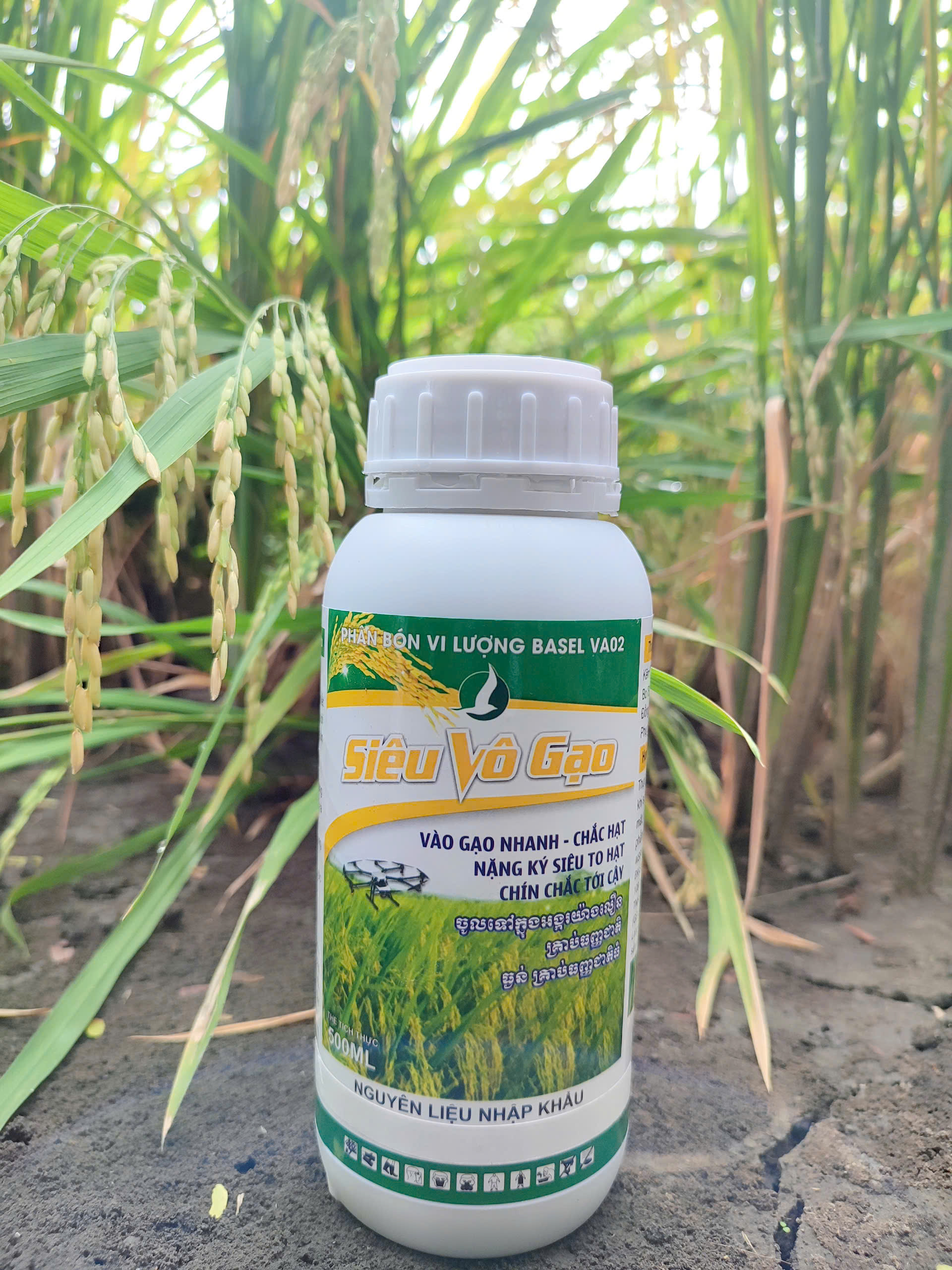 PHÂN BÓN CHO LÚA SIÊU VÔ GẠO (chai 500ml)