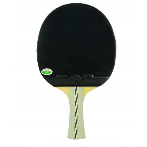 Vợt bóng bàn 729-2010