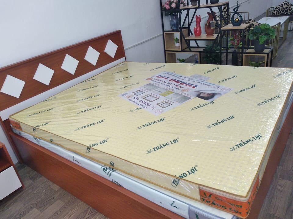 [HCM][Size 1m6 x 2m x 10cm] NỆM CAO SU NON THẮNG LỢI 100%