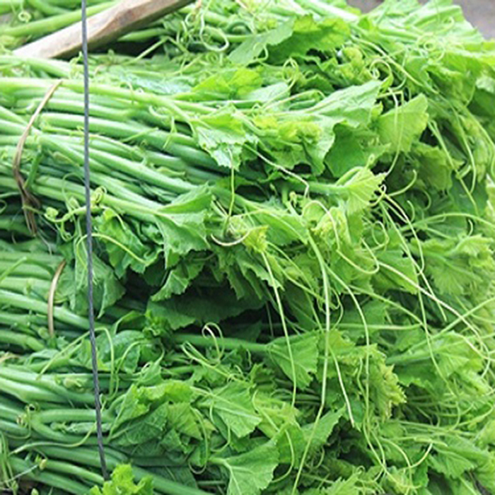 20GR - HẠT GIỐNG BÍ SIÊU NGỌN