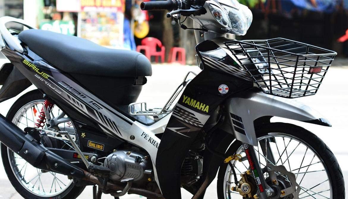 Tem rời sirius đen xám