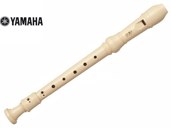 sáo dọc recorder