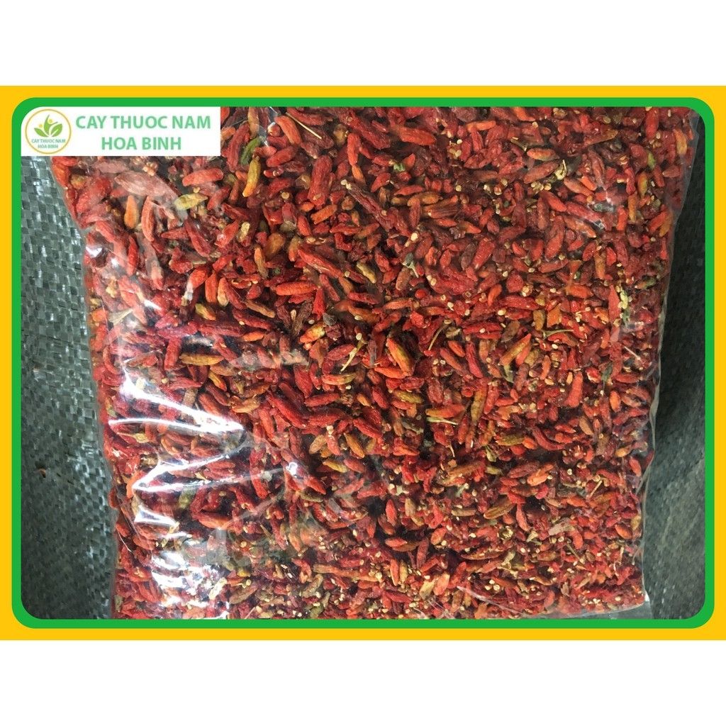 Trái câu kỷ tử Hạ Ninh