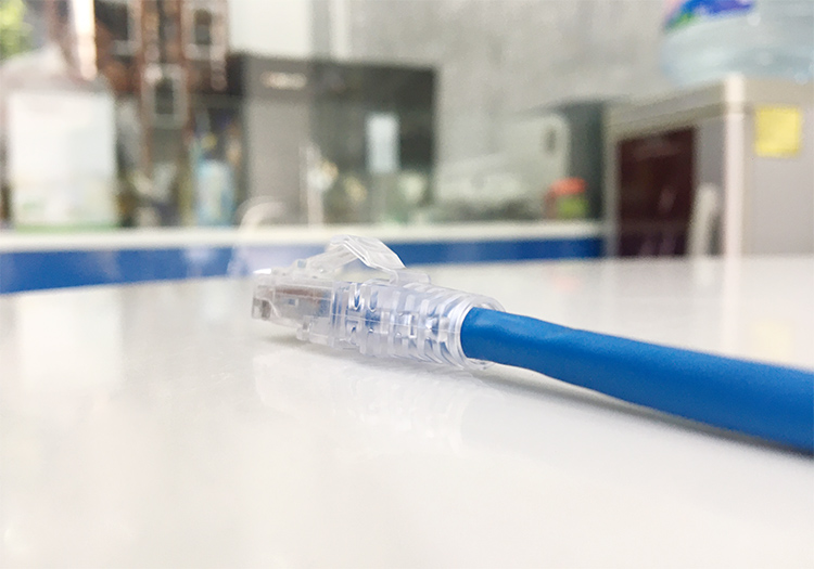 Dây nhảy cat 6, dài 1,5m