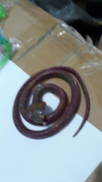 Đồ chơi rắn cao su