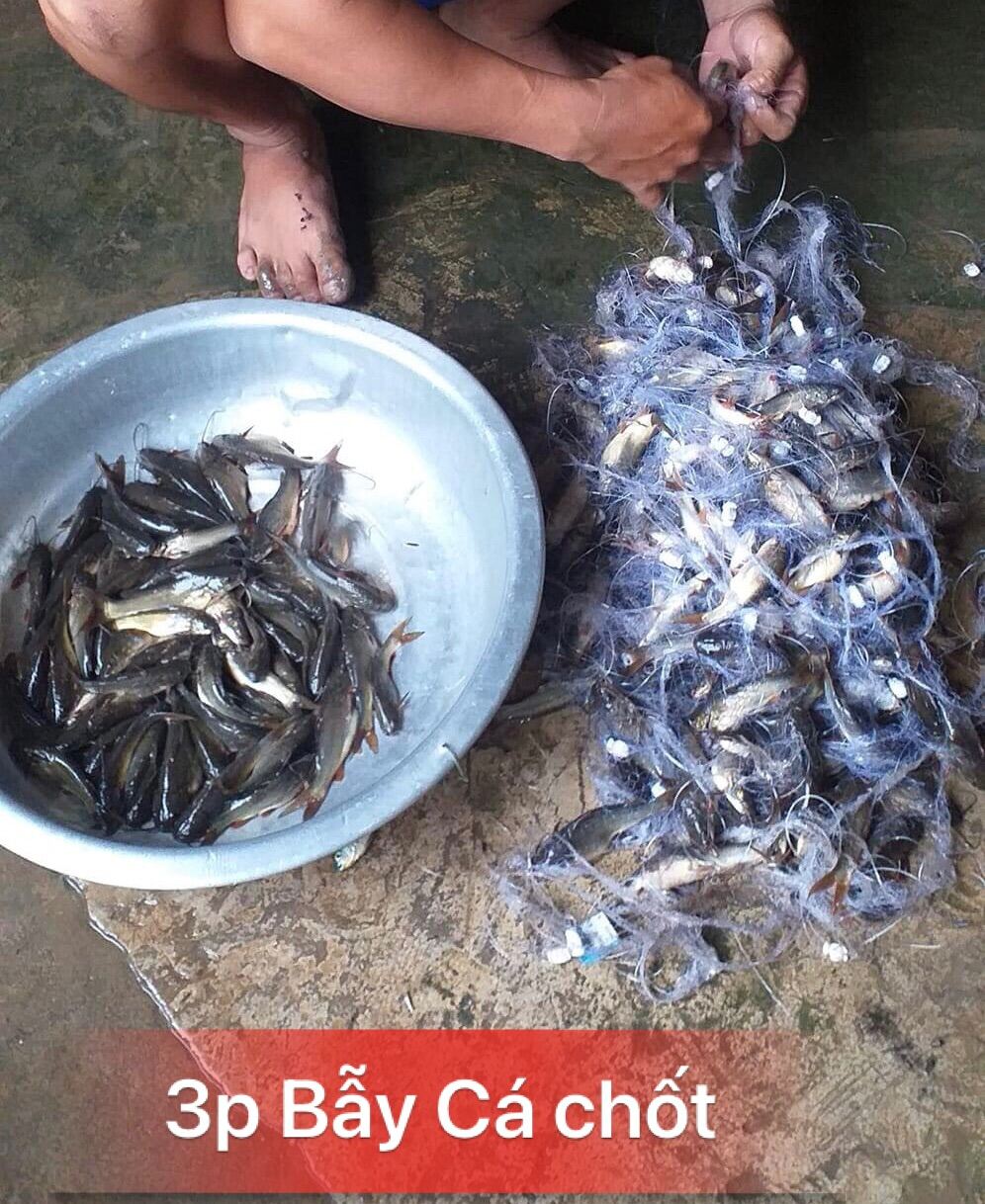 Lưới giăng cá 3 màn Thái Lan tay 45/50m cao 90cm( 9 tất)