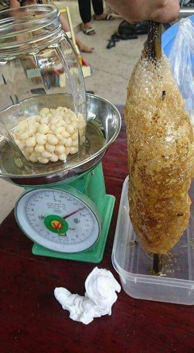 Tỏi Cô Đơn (Tỏi 1 Nhánh 1kg)