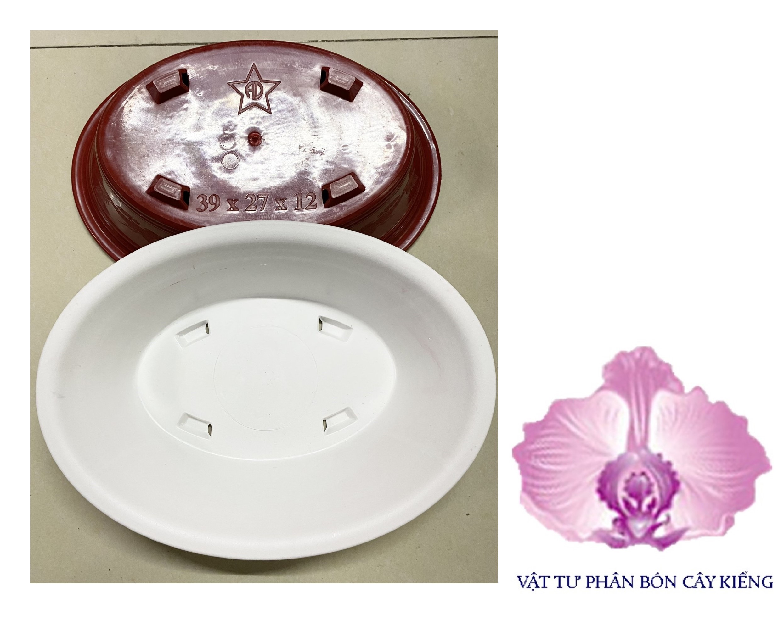 Chậu Oval Bonsai AD 39x27x12cm - #023D#