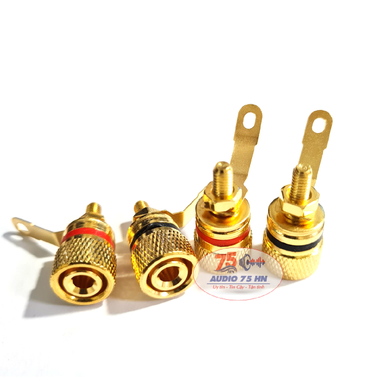 01 cặp Jack cọc loa bằng đồng mạ vàng cao cấp