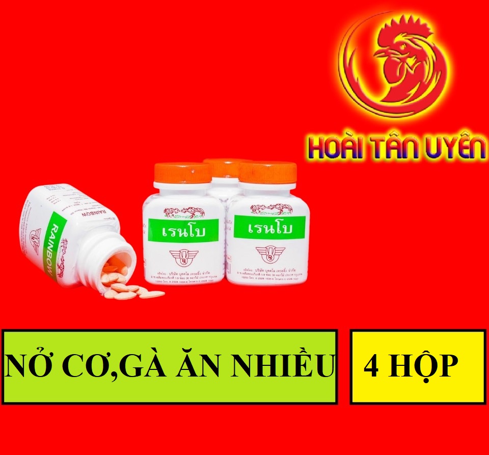Combo 4 lọ Thuốc nuôi gà đá RAINBOW