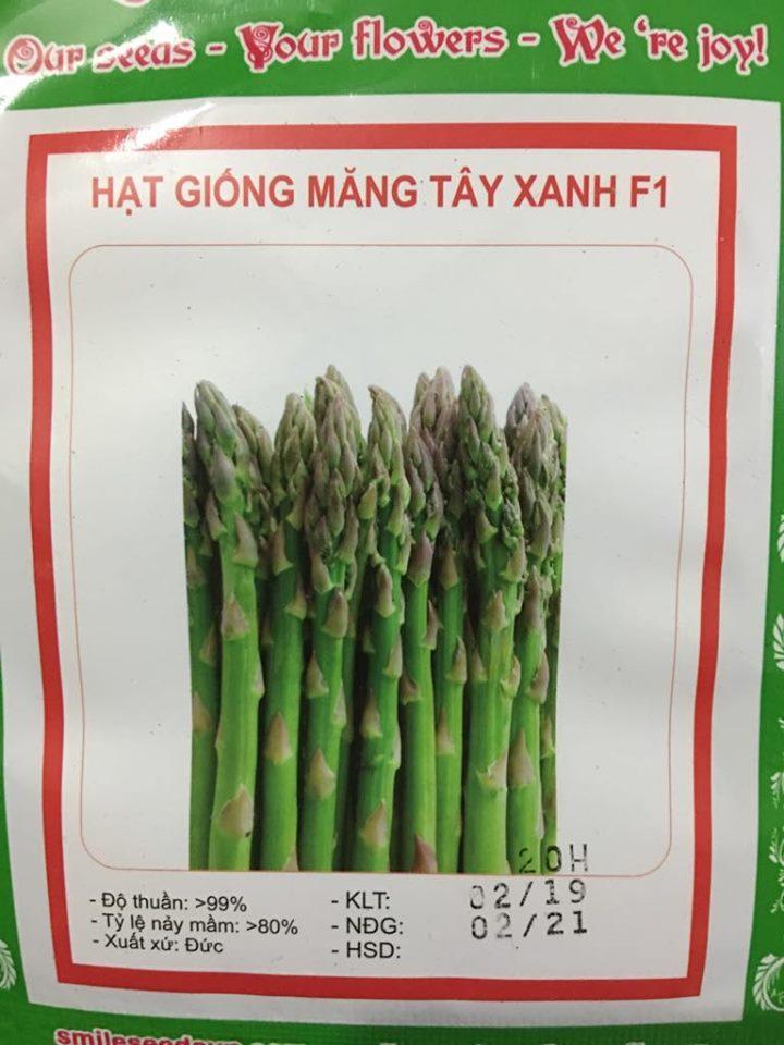 Hạt giống măng tây xanh 20 hạt/ gói