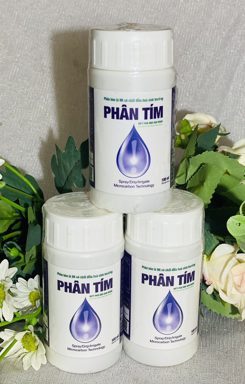 Phân tím 100ml phì trái - lớn trái