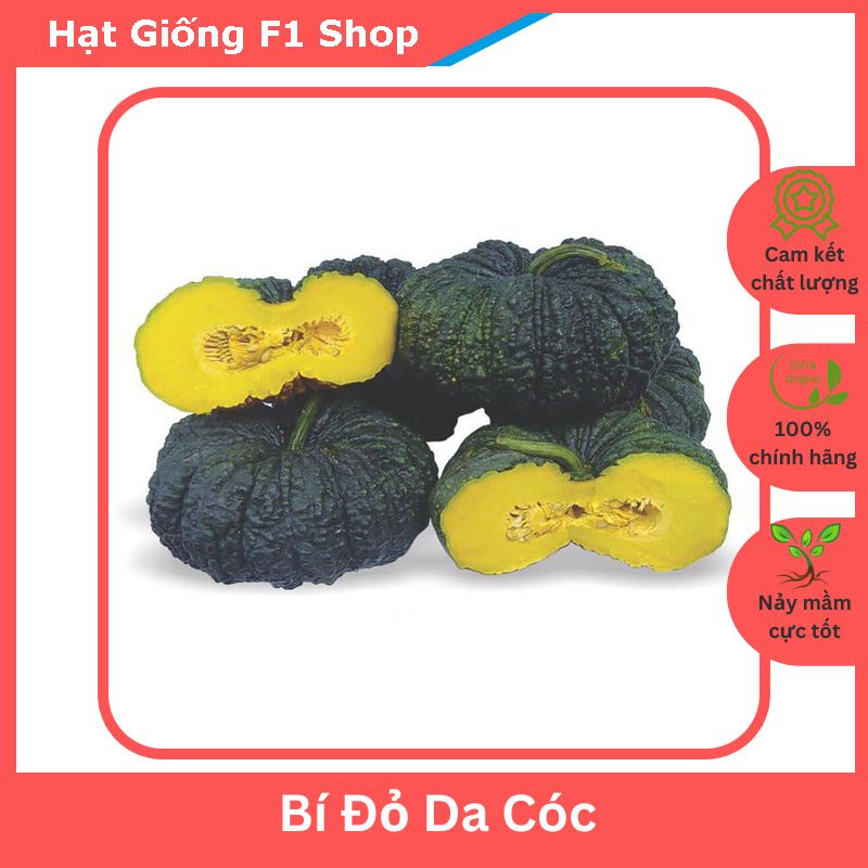 Hạt Giống Bí Đỏ Da Cóc Dẻo Ngon