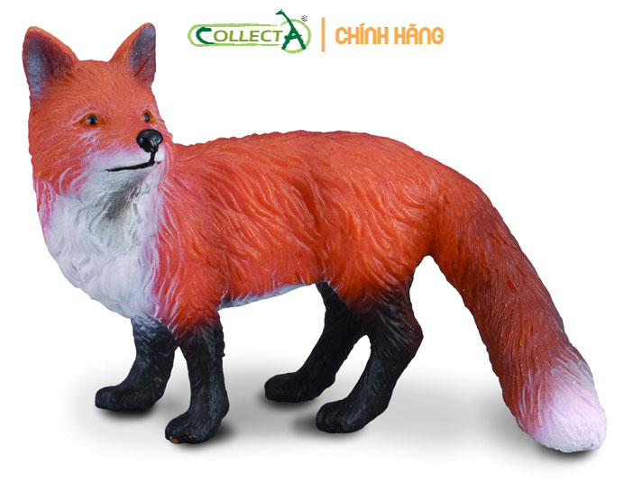 Mô hình động vật: cáo đỏ