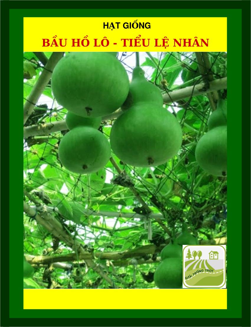 10H - Hạt Giống Bầu Hồ Lô - Tiểu Lệ Nhân