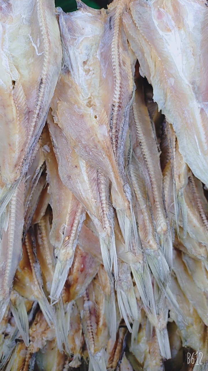 Khô cá mối size lớn 1kg