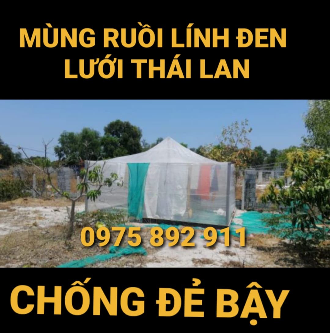 lồng nuôi cào cào , châu chấu 5x4x2