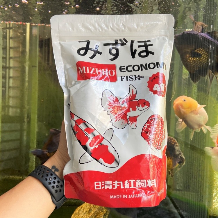 [Freeship+HCM+Luckyfish94] THỨC ĂN CÁM MIZUHO ECONOMY CHO CÁ VÀNG, CÁ KOI, CÁ DĨA GÓI 500G A041. GIÚP CÁ TIÊU HÓA TỐT VÀ PHÁT TRIỂN TUYỆT VỜI. ĐẶC BIỆT THỨC ĂN KHÔNG GÂY ĐỤC NƯỚC HỒ CÁ.
