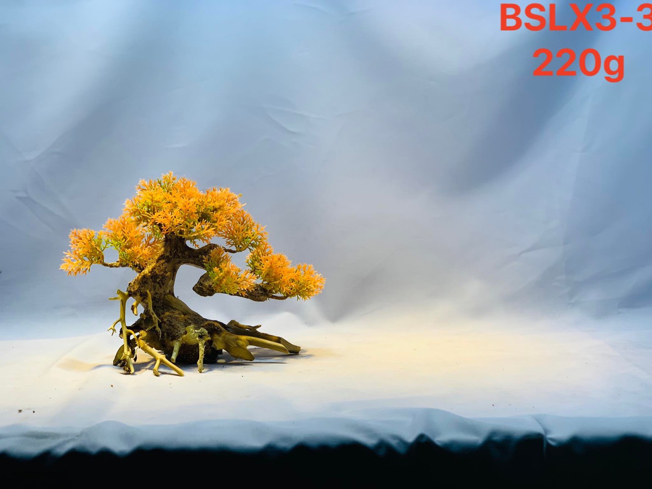 Gỗ lũa thủy sinh _ BSLX5 Driftwood bonsai_20 x25 (cm) _Cây gỗ lũa bonsai dáng đổ (Có 6 loại: Tán xương, tán gỗ, Bông Tùng xanh, Bông Tùng đỏ, Tùng Cam, Tùng màu kem)
