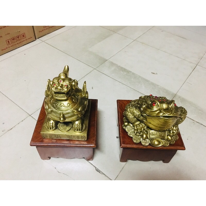 Cặp cóc + tỳ hưu phong thuỷ