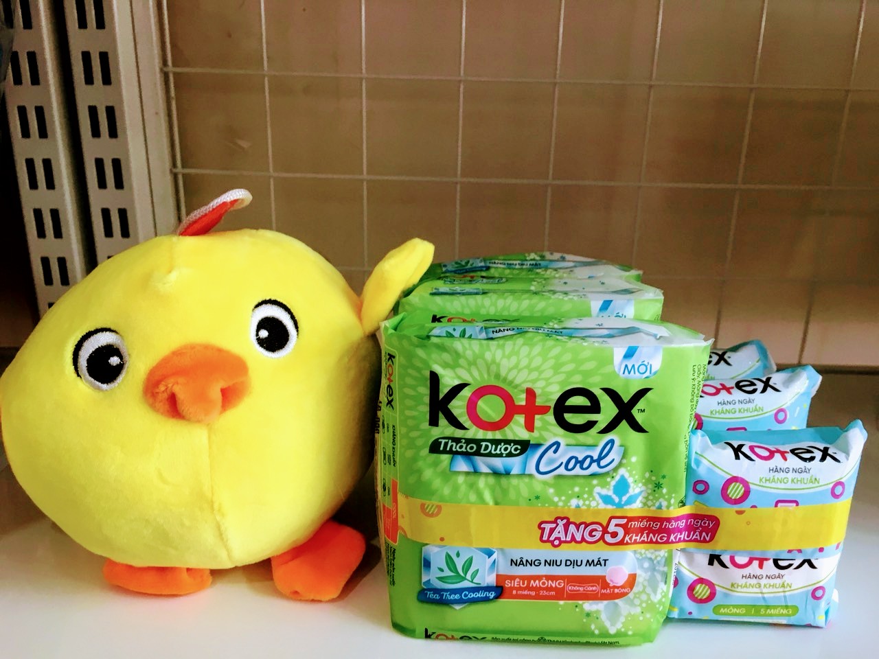 Combo 3 bịch bvs kotex thảo dược cool 8M