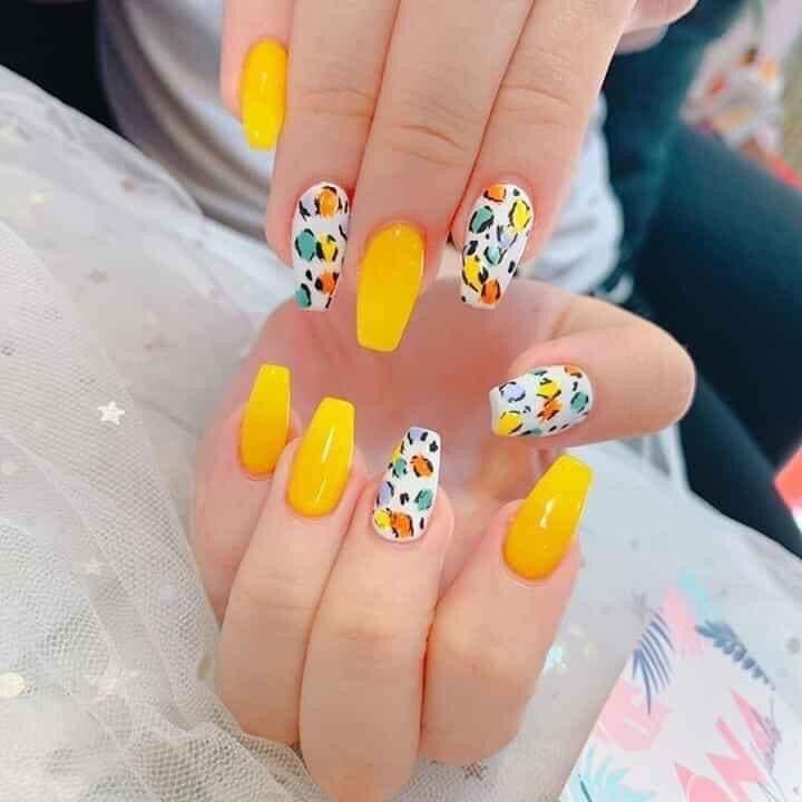 Nailbox tặng keo dũa 0173