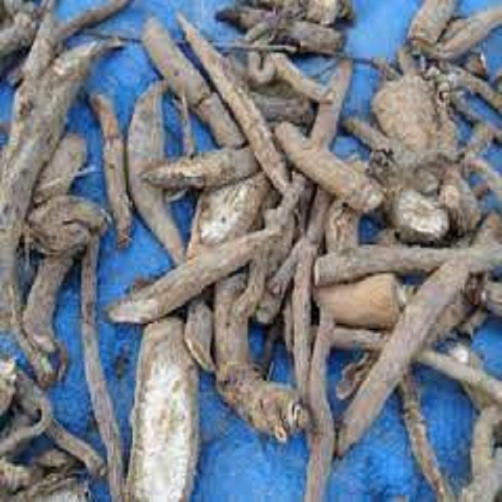 hà thủ ô trắng kho lac 500g