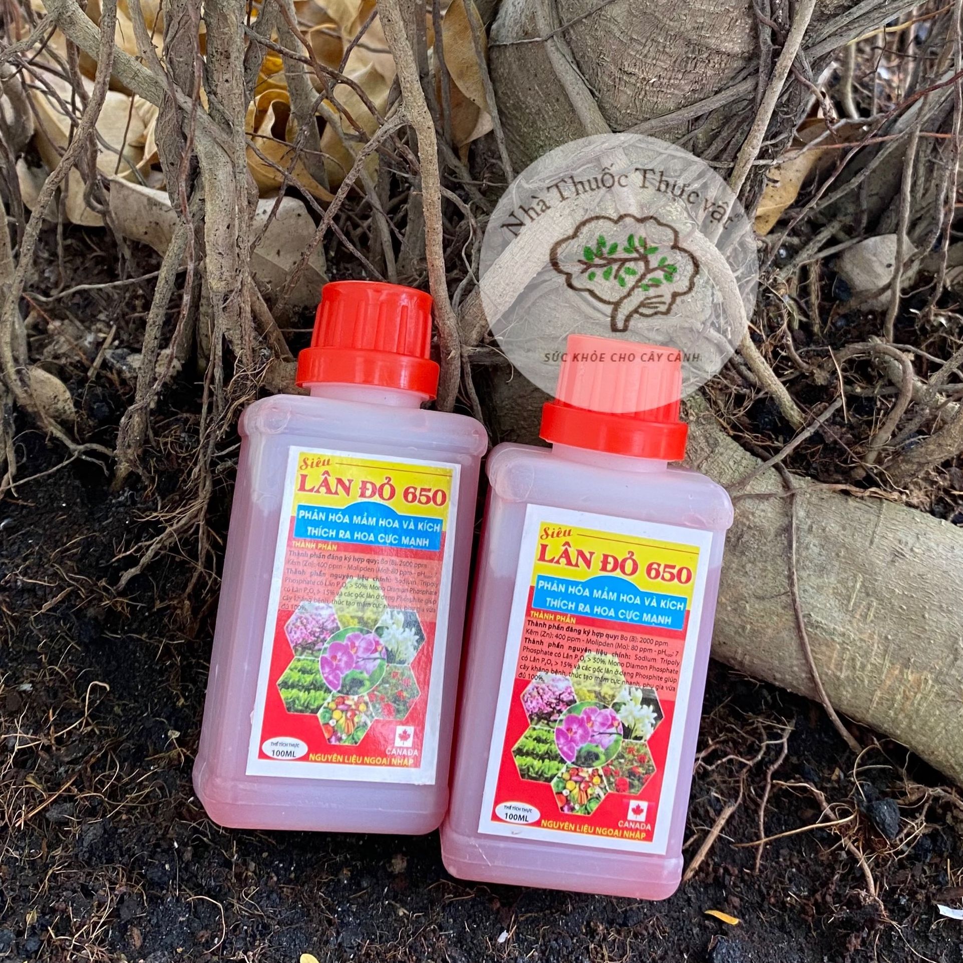 Siêu Lân Đỏ 650 phân hóa mầm hoa và kích thích ra hoa cực mạnh chai 100ml kích thích ra rễ cây con cây cảnh lan