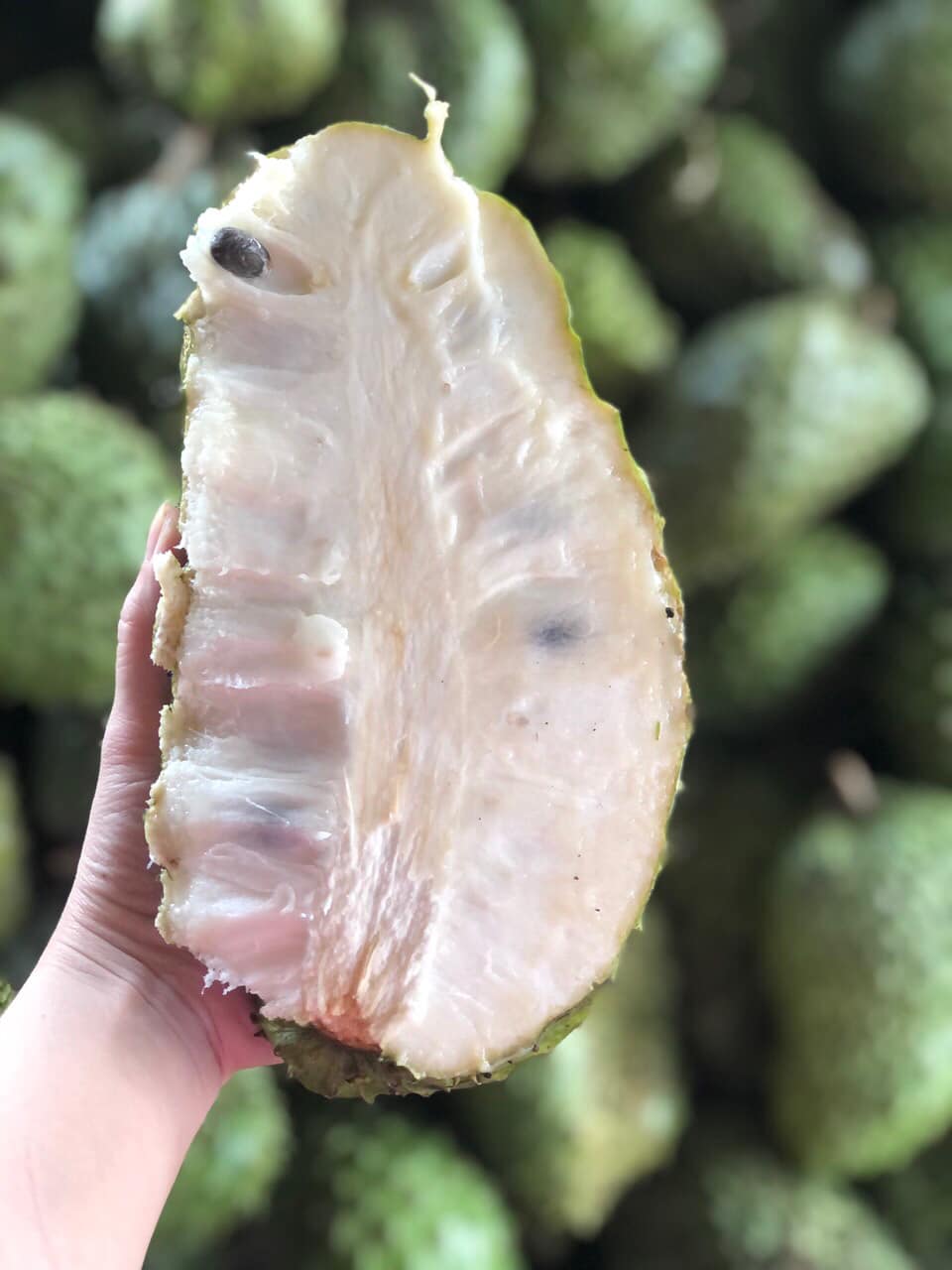 600GR  MÃNG CẦU SẤY MUỐI ỚT