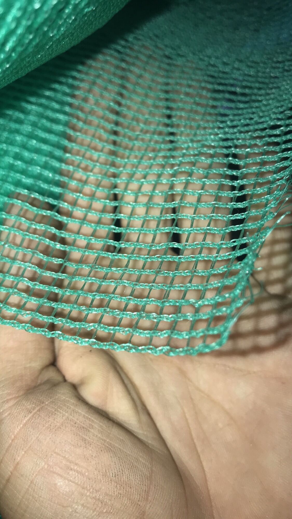 Cước xanh mắt lưới khổ 1 Met ( 1M x 1M)
