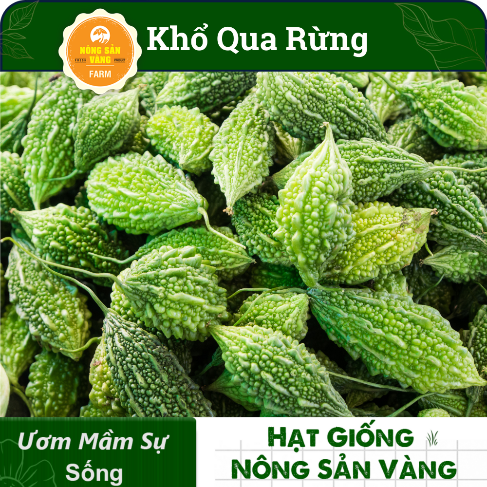 Hạt giống Khổ Qua Rừng Nảy Mầm Cao, Giàu Giá Trị Dinh Dưỡng (Gói 10 Hạt) - Nông Sản Vàng