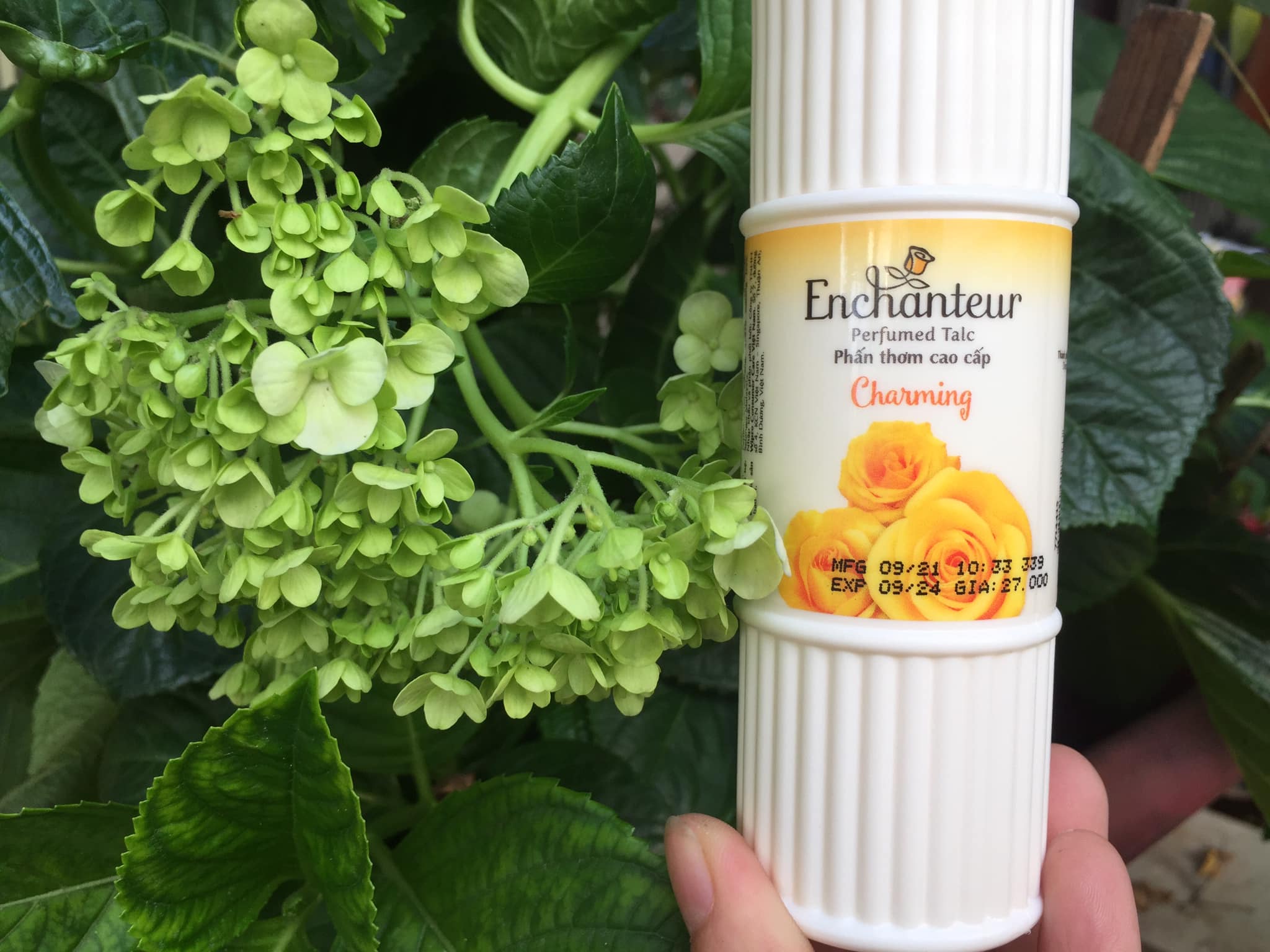 Combo Phấn Thơm cao cấp  Enchanteur Charming 50 gram