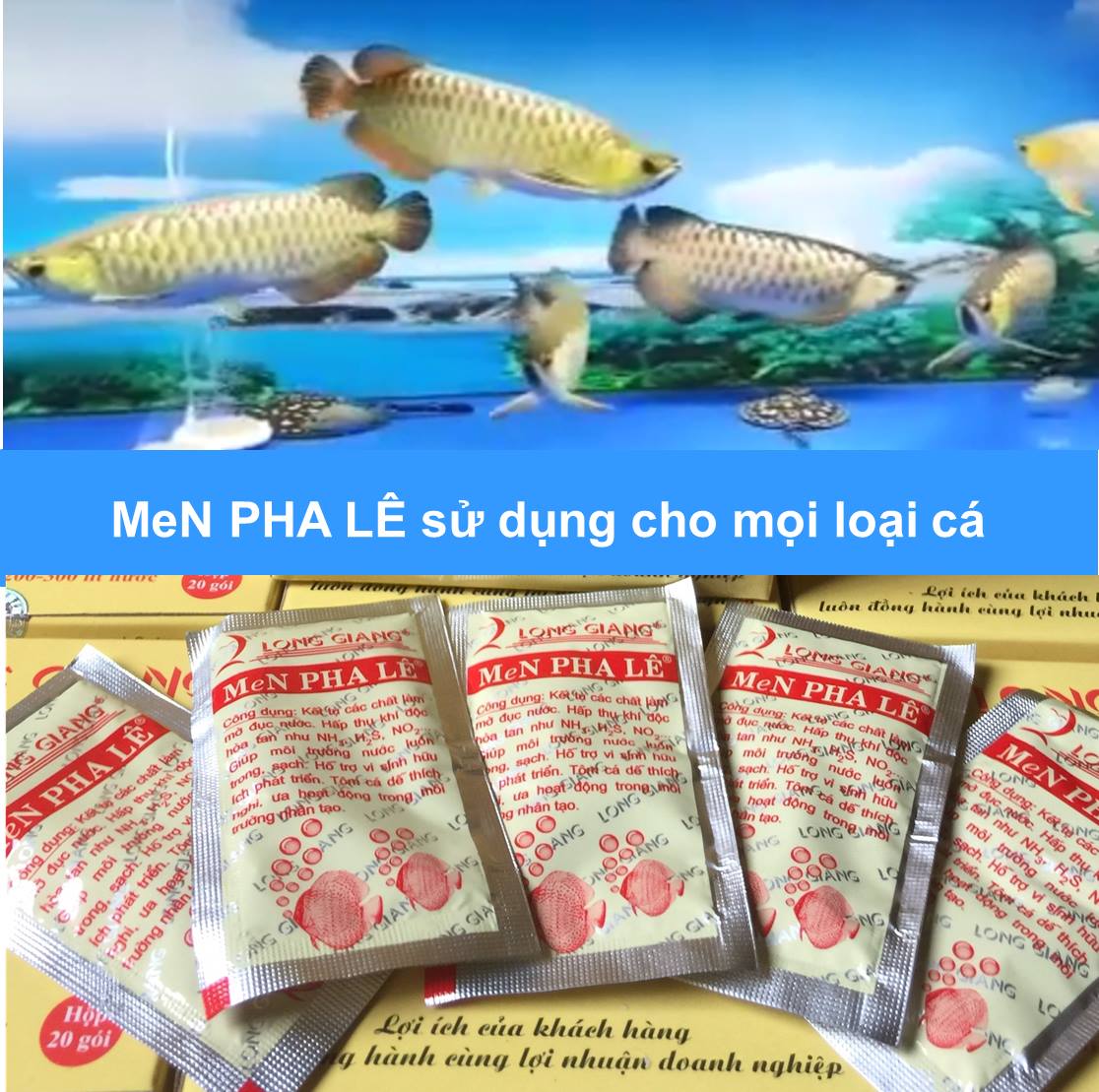 [HCM]Men vi sinh Pha Lê làm trong nước bể cá