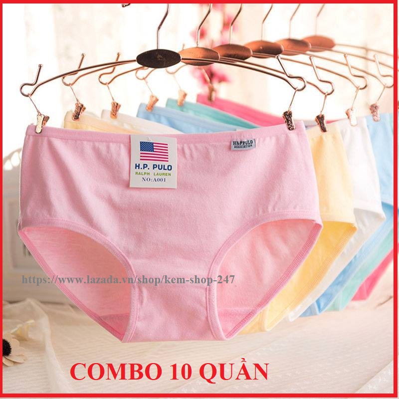 Combo 10 quần lót nữ cotton HP Pulo