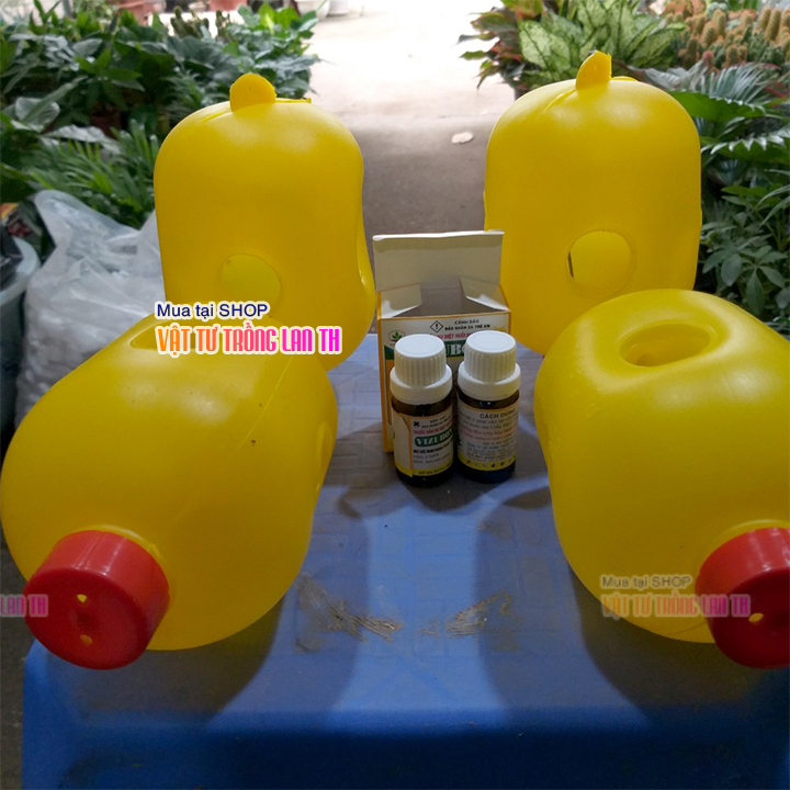 Dụng cụ bẫy ruồi vàng hại trái – D86