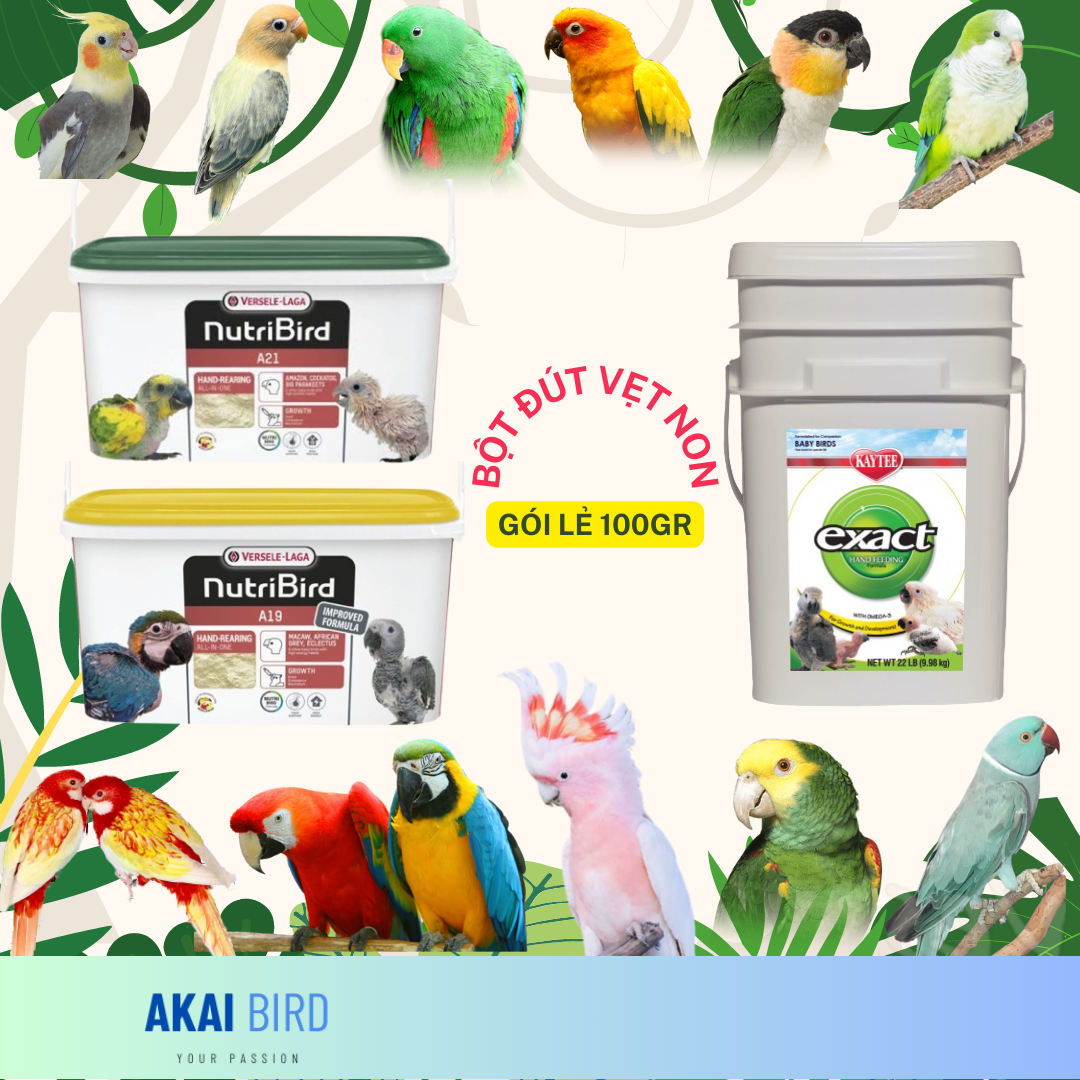 [100Gr] Bột A19 / A21 / Kaytee Dành Cho Vẹt Non...