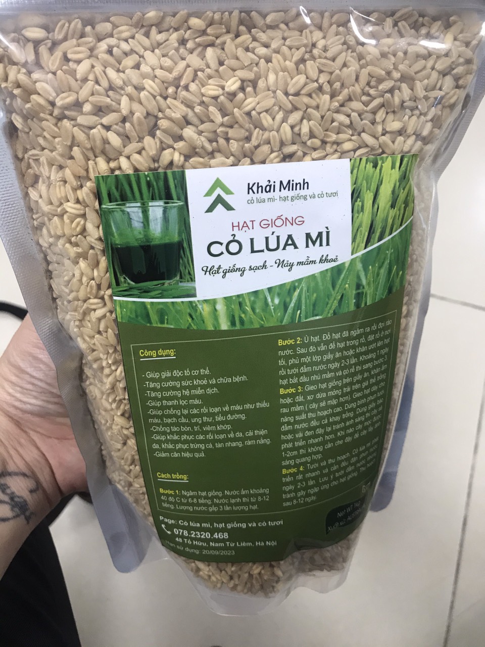 Hạt giống cỏ lúa mì hữu cơ