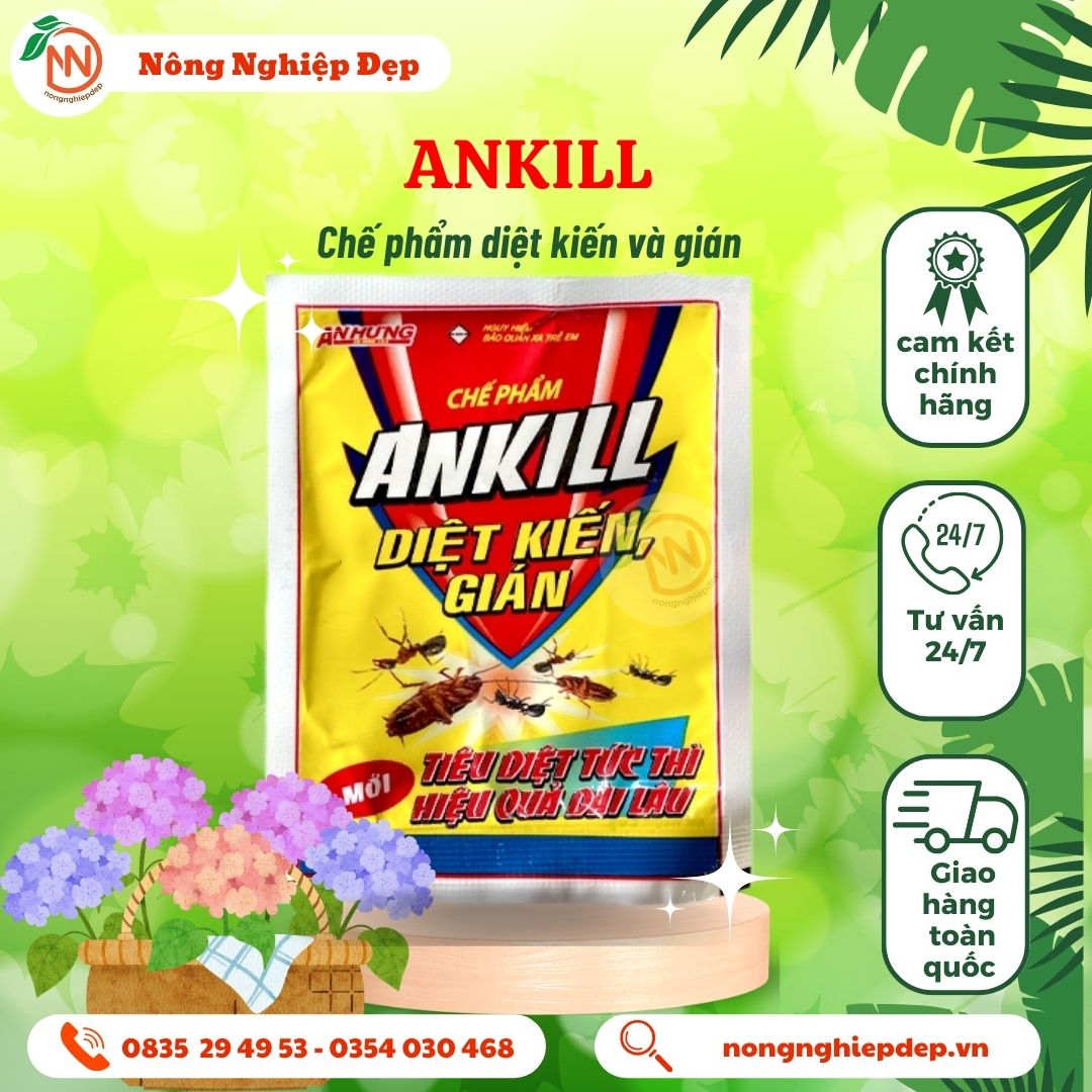 Combo 6 Gói thuốc diệt kiến - gián tận gôc Allkill