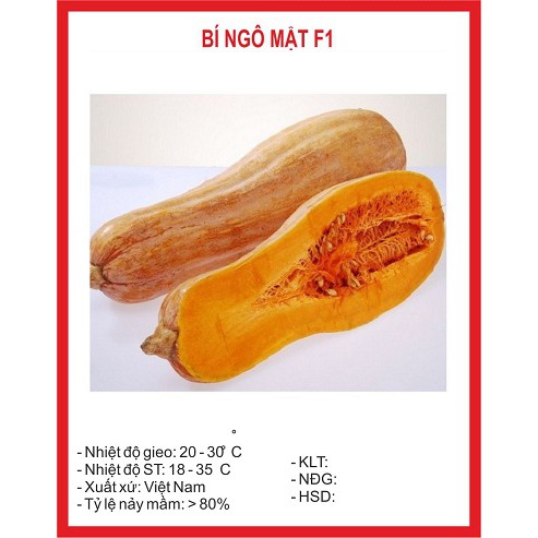 Hạt giống Bí Mật ( bí đỏ )  F1  - Gói 10 hạt