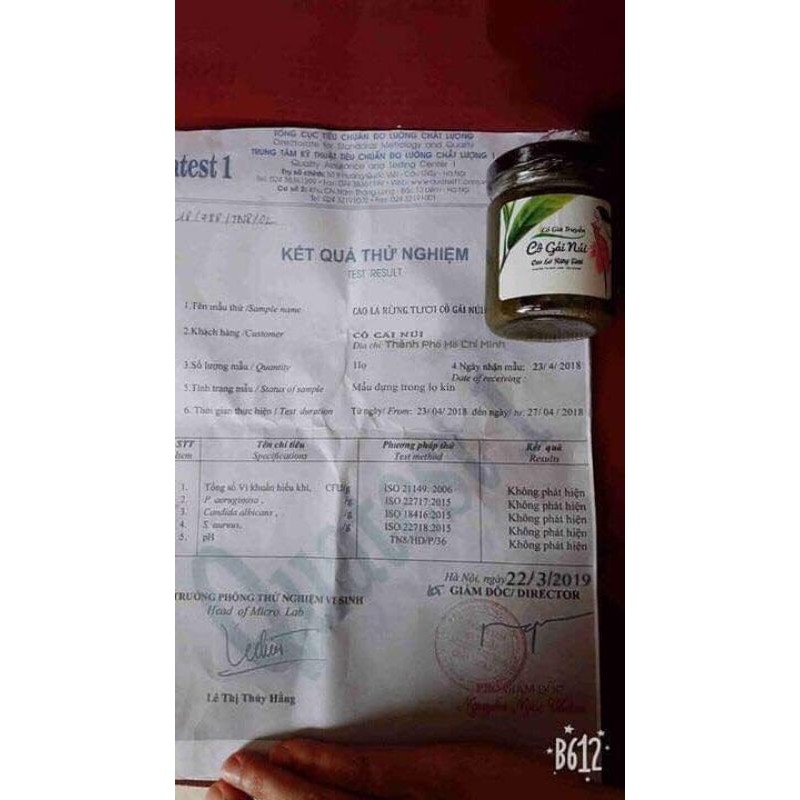 Cao lá rừng cô gái núi