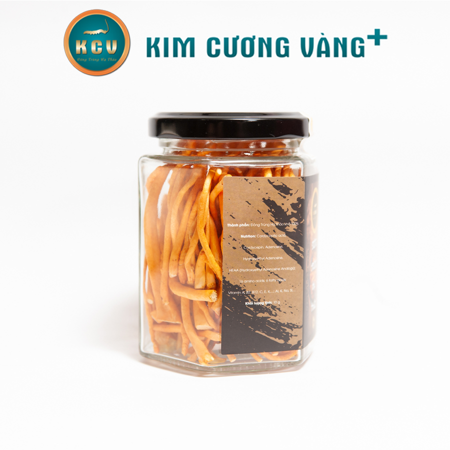 Đông Trùng Hạ Thảo Khô KCV (Hộp 10G)