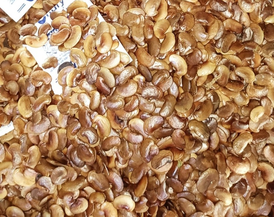 500 gram hạt giống sưa đỏ