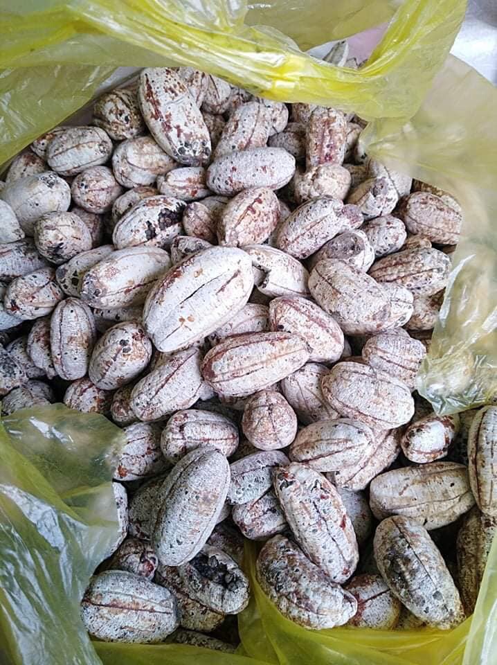 Chuối hột rừng chín bóc vỏ khô